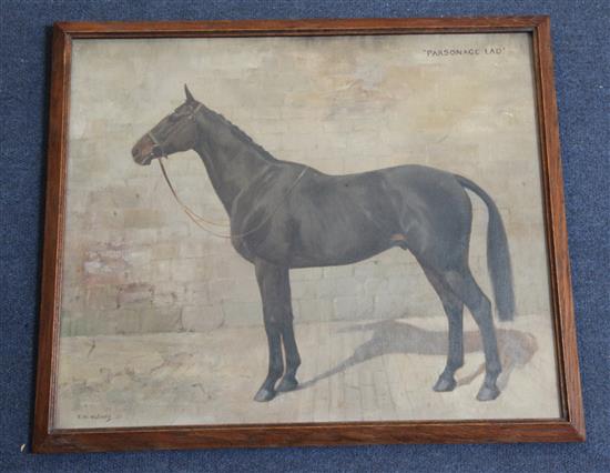Frances Mabel Hollams (1877-1963) Portrait of a horse Parsonage Lad 14.75 x 17.75in.